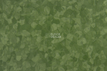 Tarkett iq Melodia 2639 фото 3 | FLOORDEALER