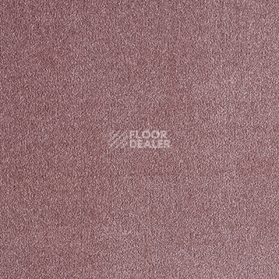 Ковролин AW Obsession 18 фото 1 | FLOORDEALER