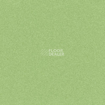 Линолеум Tarkett iq Melodia 2621 фото 1 | FLOORDEALER