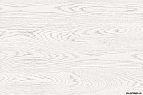 Wood Xl OAK WHITE фото 4 | FLOORDEALER