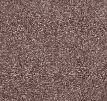 Ковролин AW Masquerade Gala 60 фото 1 | FLOORDEALER