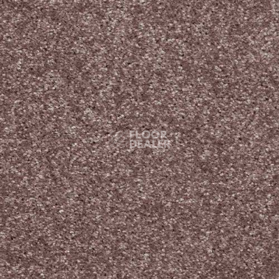 Ковролин AW Masquerade Gala 60 фото 1 | FLOORDEALER