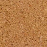 Пробковое покрытие Cork Pure Go AJ8E002 Originals Shell фото 1 | FLOORDEALER