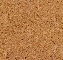 Пробковое покрытие Cork Pure Go AJ8E002 Originals Shell фото 1 | FLOORDEALER