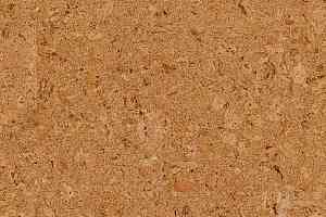 Пробковое покрытие Cork Pure Go AJ8E002 Originals Shell фото  | FLOORDEALER