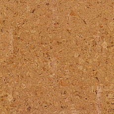 Пробковое покрытие Cork Pure Go AJ8E002 Originals Shell фото 1 | FLOORDEALER