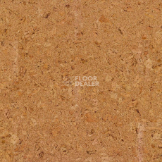 Пробковое покрытие Cork Pure Go AJ8E002 Originals Shell фото 1 | FLOORDEALER