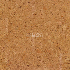 Cork Pure Go AJ8E002 Originals Shell фото 1 | FLOORDEALER