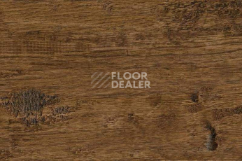 Пробковое покрытие Wood Xl Oak  Old фото 1 | FLOORDEALER