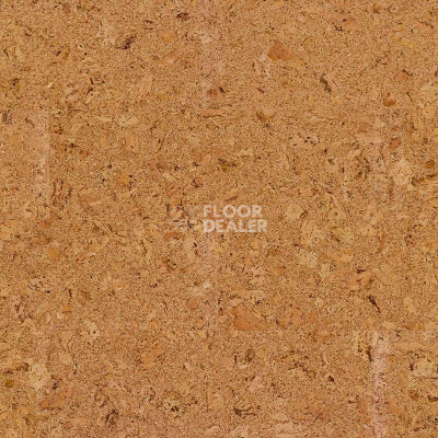 Пробковое покрытие Cork Pure Go AJ8E002 Originals Shell фото 1 | FLOORDEALER