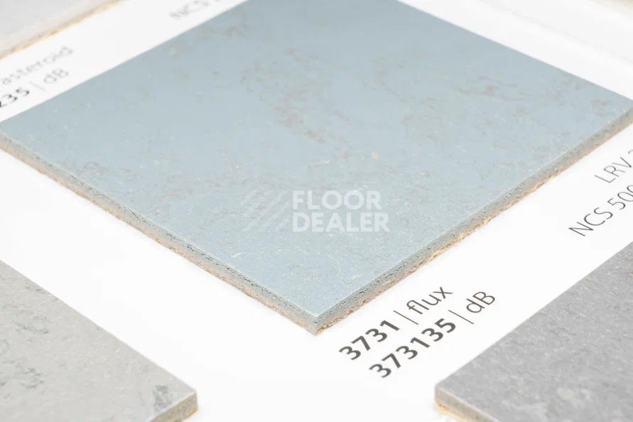 Линолеум Marmoleum Solid Concrete 3731-373135 flux фото 1 | FLOORDEALER
