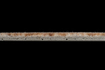 Flotex Colour s 290007 Calgary Suede фото 3 | FLOORDEALER