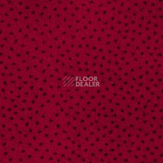 Ковролин Associated Weavers Perfecto 10 фото 1 | FLOORDEALER