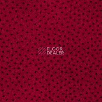 Ковролин Associated Weavers Perfecto 10 фото 1 | FLOORDEALER