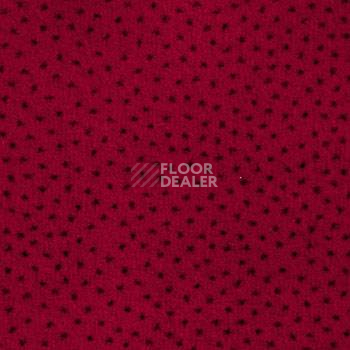 Ковролин Associated Weavers Perfecto 10 фото 1 | FLOORDEALER