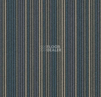 Ковровая плитка Flotex Complexity t 550001 / t 553001 Complexity Grey фото 1 | FLOORDEALER