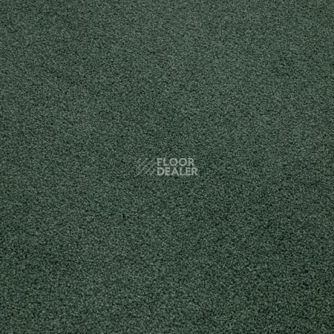 Haima Noble 71 фото 11 | FLOORDEALER