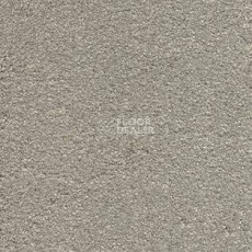 Ковролин AW Suspense 29 фото 1 | FLOORDEALER