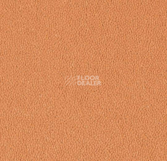 Ковровая плитка Westbond Ibond красная гамма 9569 фото 1 | FLOORDEALER