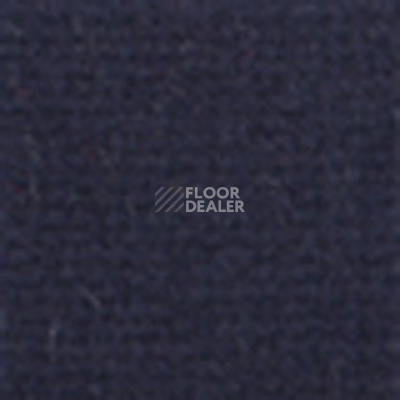 Ковролин Tapibel Casa 24869 фото 1 | FLOORDEALER