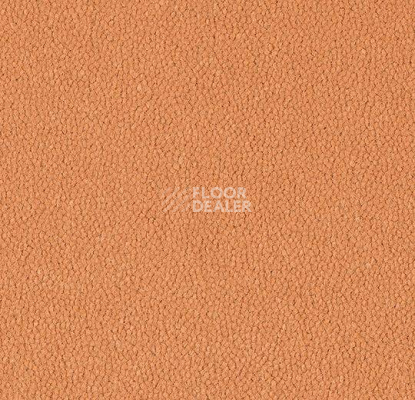 Ковровая плитка Westbond Ibond красная гамма 9569 фото 1 | FLOORDEALER