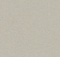 Линолеум Forbo Marmoleum Bulletin Board 2206 oyster shell фото 1 | FLOORDEALER