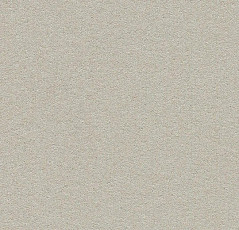 Линолеум Forbo Marmoleum Bulletin Board 2206 oyster shell фото 1 | FLOORDEALER