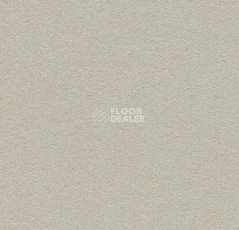 Линолеум Forbo Marmoleum Bulletin Board 2206 oyster shell фото 1 | FLOORDEALER