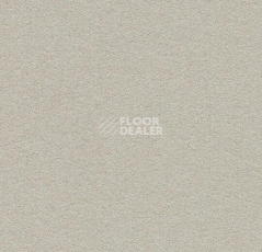 Линолеум Forbo Marmoleum Bulletin Board 2206 oyster shell фото 1 | FLOORDEALER