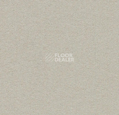 Линолеум Forbo Marmoleum Bulletin Board 2206 oyster shell фото 1 | FLOORDEALER