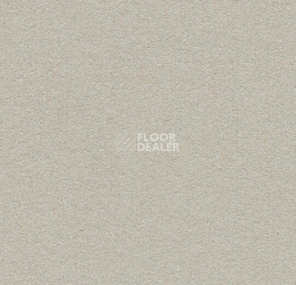 Линолеум Forbo Marmoleum Bulletin Board 2206 oyster shell фото 1 | FLOORDEALER