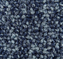 Standard Carpets Spectrum sm 555 фото 3 | FLOORDEALER