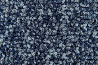Standard Carpets Spectrum sm 555 фото 3 | FLOORDEALER
