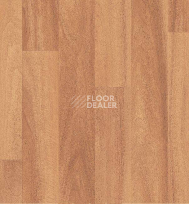 Линолеум Grabo Acoustic Standart 4217_472 фото 1 | FLOORDEALER