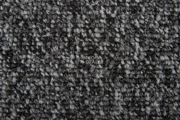 Ковровая плитка Standard Carpets Spectrum sm 574 фото 1 | FLOORDEALER