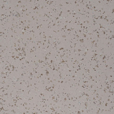 Линолеум Perfect Safety 5605 фото 1 | FLOORDEALER