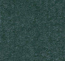 Ковролин AW Radiant 73 фото 1 | FLOORDEALER