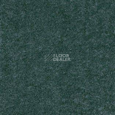 Ковролин AW Radiant 73 фото 1 | FLOORDEALER