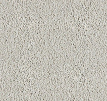 Ковролин Lano Soft Distinction 242 фото 1 | FLOORDEALER