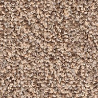 Balsan Omega 738 фото 1 | FLOORDEALER