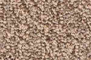 Ковролин Balsan Omega 738 фото  | FLOORDEALER