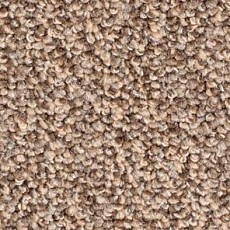 Ковролин Balsan Omega 738 фото 1 | FLOORDEALER