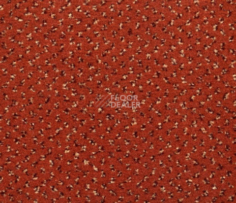 Ковролин Big Venezia 772 фото 1 | FLOORDEALER