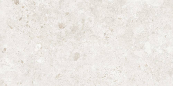 Керамогранит Bierzo 60X120 Perla фото 1 | FLOORDEALER