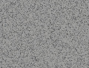 Линолеум Polyflor Polysafe Standard Pur 4020 фото 1 | FLOORDEALER