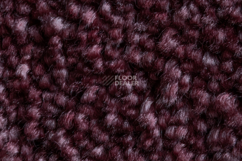 AW Masquerade Fedone 19 фото 2 | FLOORDEALER