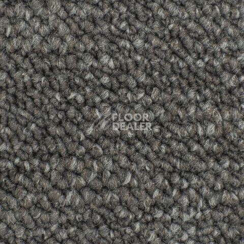 Desso Desert 9532 фото 2 | FLOORDEALER