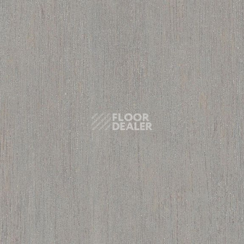 Линолеум Tarkett Acczent Pro Modus 5 фото 1 | FLOORDEALER