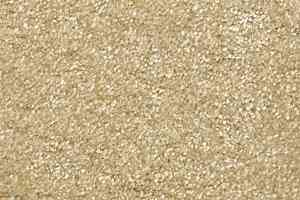 Ковролин AW Bellisima 39 фото  | FLOORDEALER