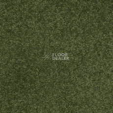 Ковролин Shaw Design Texture Platinum 324 фото 1 | FLOORDEALER